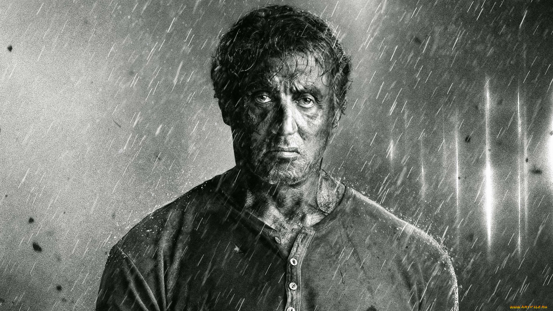 rambo,  last blood , 2019,  , -unknown , , , , last, blood, , c, c